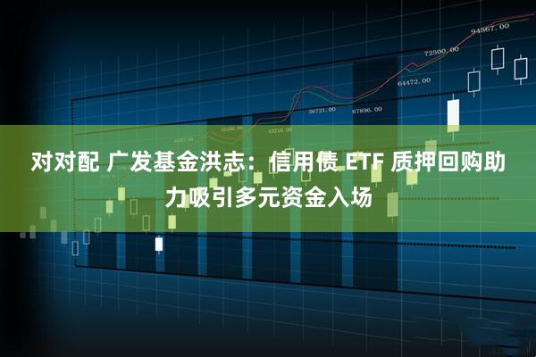 对对配 广发基金洪志：信用债 ETF 质押回购助力吸引多元资金入场