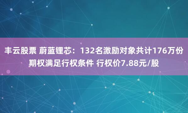 丰云股票 蔚蓝锂芯：132名激励对象共计176万份期权满足行权条件 行权价7.88元/股