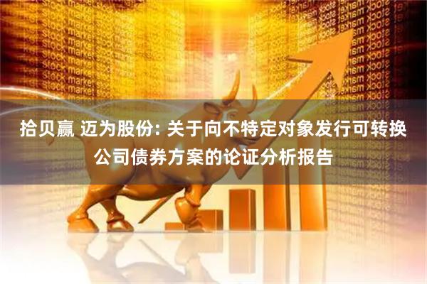 拾贝赢 迈为股份: 关于向不特定对象发行可转换公司债券方案的论证分析报告