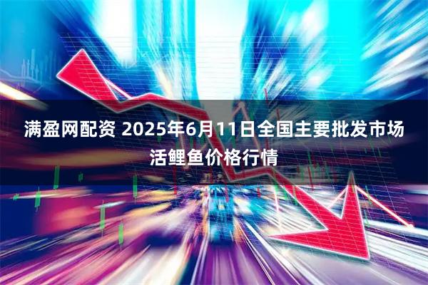 满盈网配资 2025年6月11日全国主要批发市场活鲤鱼价格行情
