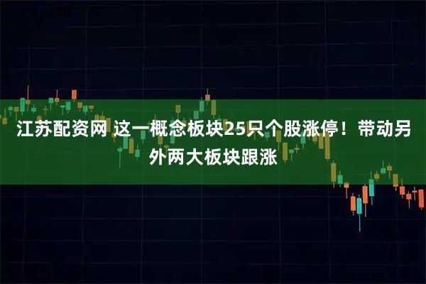 江苏配资网 这一概念板块25只个股涨停！带动另外两大板块跟涨